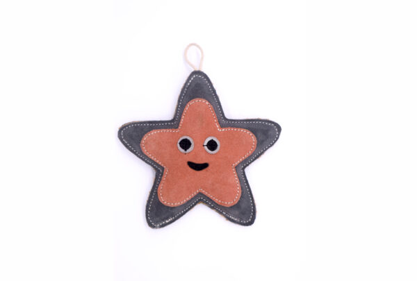 Starstruck Suede Starfish Chew Toy