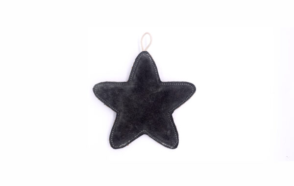 Starstruck Suede Starfish Chew Toy - Image 2