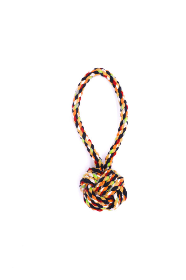 Knotted Rope Dog Tie with Ball